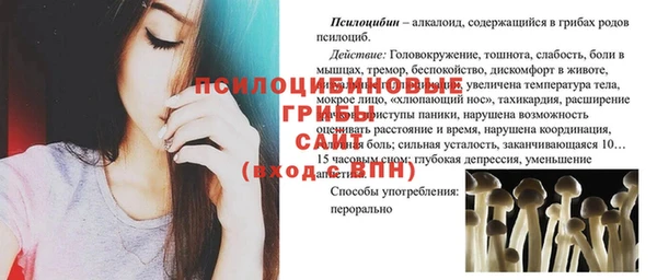 гидра Абинск